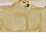 drtronn