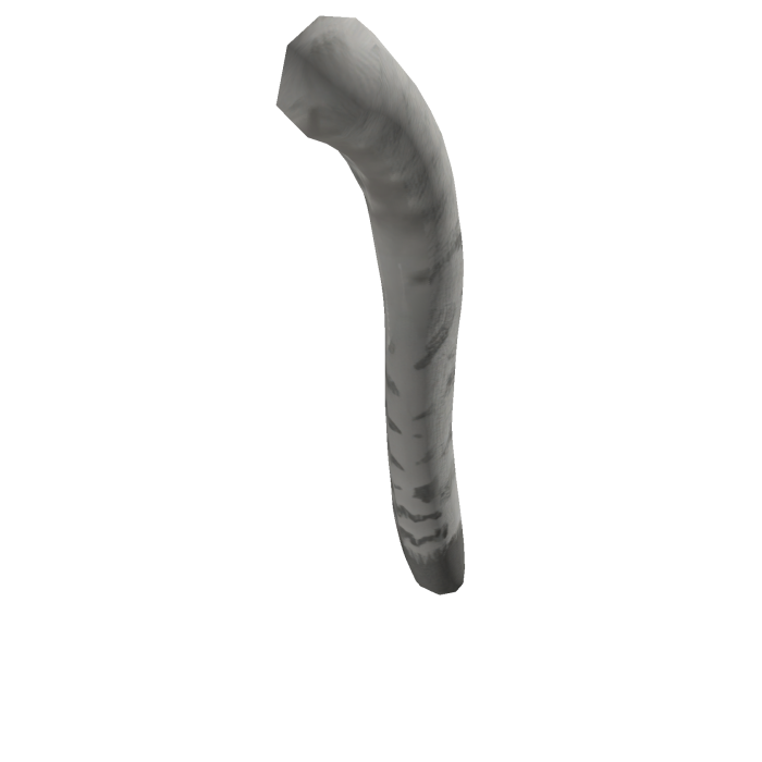 cat Tail