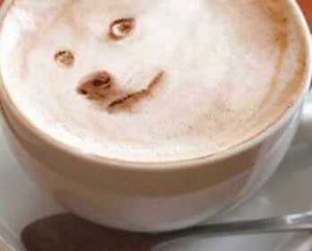 Cafe Doge Le Perfect