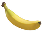 The Food and Animal Group