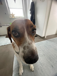 AMY_BESTECOMMUNITY