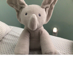Elephant squad official