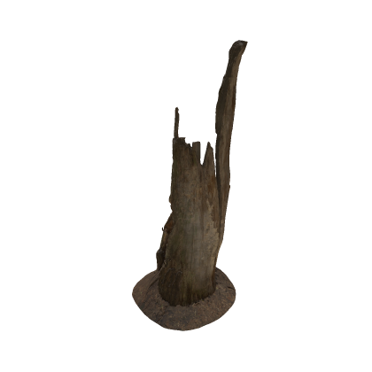 Realistic Rotten Tree Stump