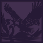 Purple Thread Co.