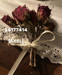 |AXEL|
