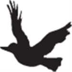 Raven  ®