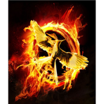District 13 Leader: Joesi1234