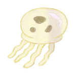 Jellyfish Jam