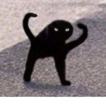 Hehehehheheeheheh