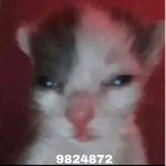 OUT3R C4RE