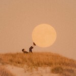 𝙨𝙝𝙤𝙧𝙩,