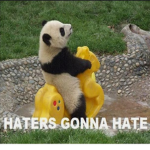The_panda_gang
