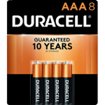 The Triple A Batteries :)