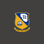 [VPBA] - Virtual PTFS Blue Angels