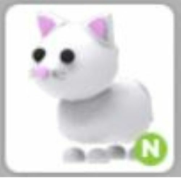 Cats only