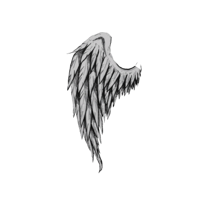 Sketch Single Wing