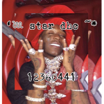 ‘ star dhcc’ ~