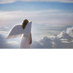 The Angel's.