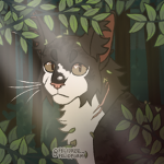 .| LilyClan |.