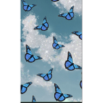 SwaggyxbutterfliesxX