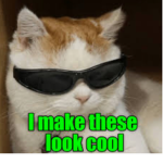 Savage Kittens :3