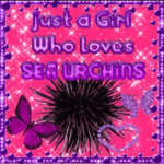 just a girl who loves sea urchins
