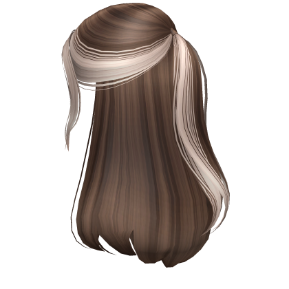 Soft Two-Tone Half-up Ponytail in Brown & Blonde