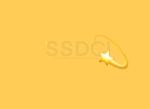 ~+{ SSDA! }+~