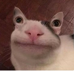 Blablablaini