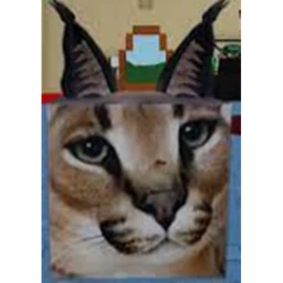 raise a floppa 3 icon