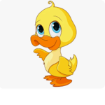 Ducky pro DUCK tions
