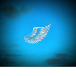 Fly Avisal