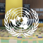 Organizacion de las Naciones Unidas