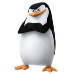 I pinguini di Federico