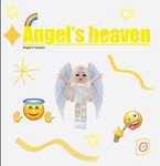XxitzAngelxX’s heaven!