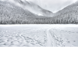 Entities... [The Journey Awaits]