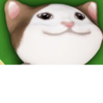 Pop cat gang!