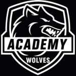 Lonely Wolves Academy