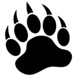 Bear Tactical Training Alternatives