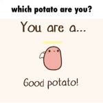 The Girly potato