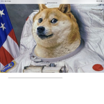 Team dogo meme