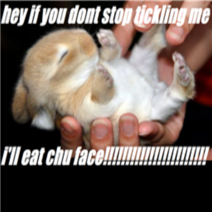 Te Funny Bunny Roblox decal