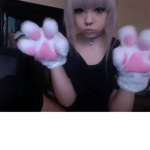 XDkitty
