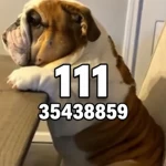 unouno1 Group Thumbnail