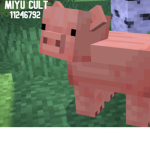 miyu cult ୨୧