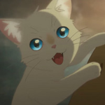 kitten payouts