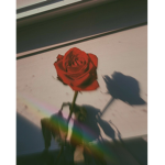 Rosey Gang ;)