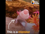 ICantBlink’s little army!