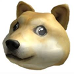 Space X Doge