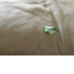 The hi-chew